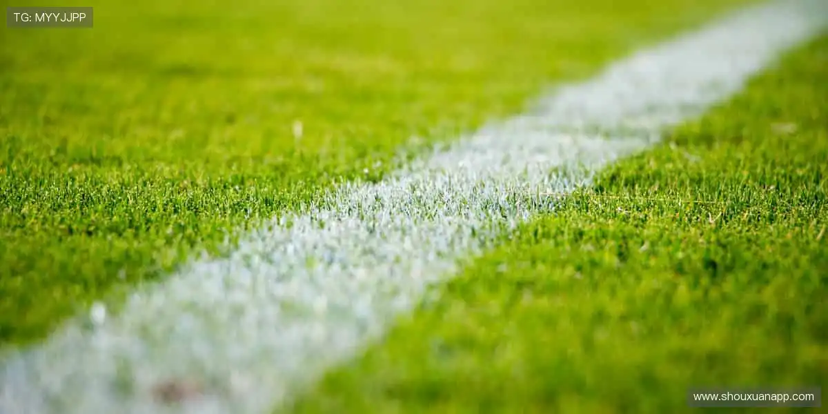 ⚡️速度与激情碰撞！【赛事名称】，点燃你的肾上腺素狂飙🏃♂️